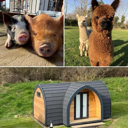 Hotel The Piggery Pod Sittingbourne Exterior foto
