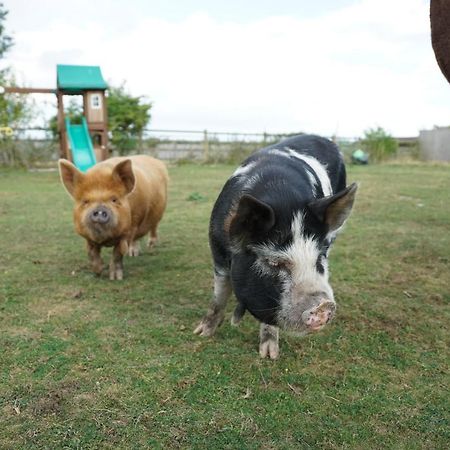 Hotel The Piggery Pod Sittingbourne Exterior foto