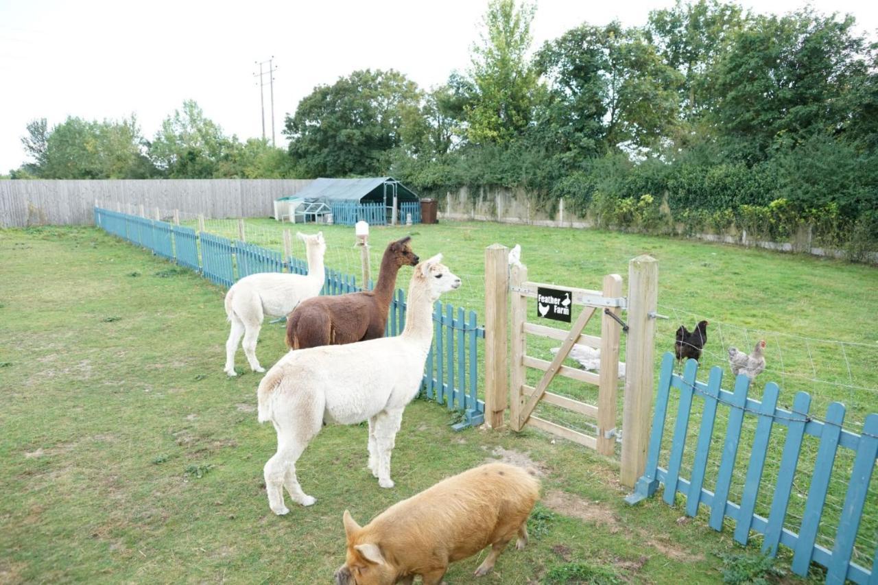 Hotel The Piggery Pod Sittingbourne Exterior foto